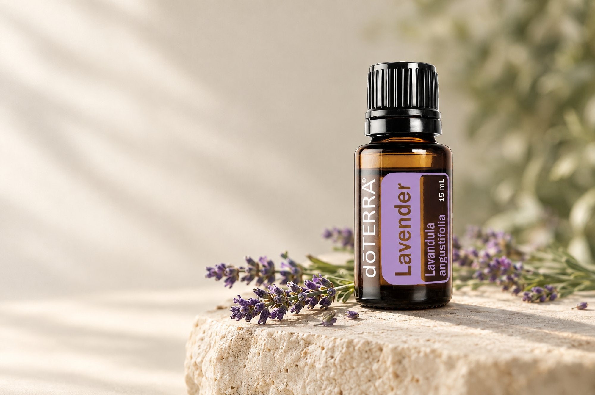 dōTERRA Lavendel-Öl auf Naturstein mit frischem Lavendel