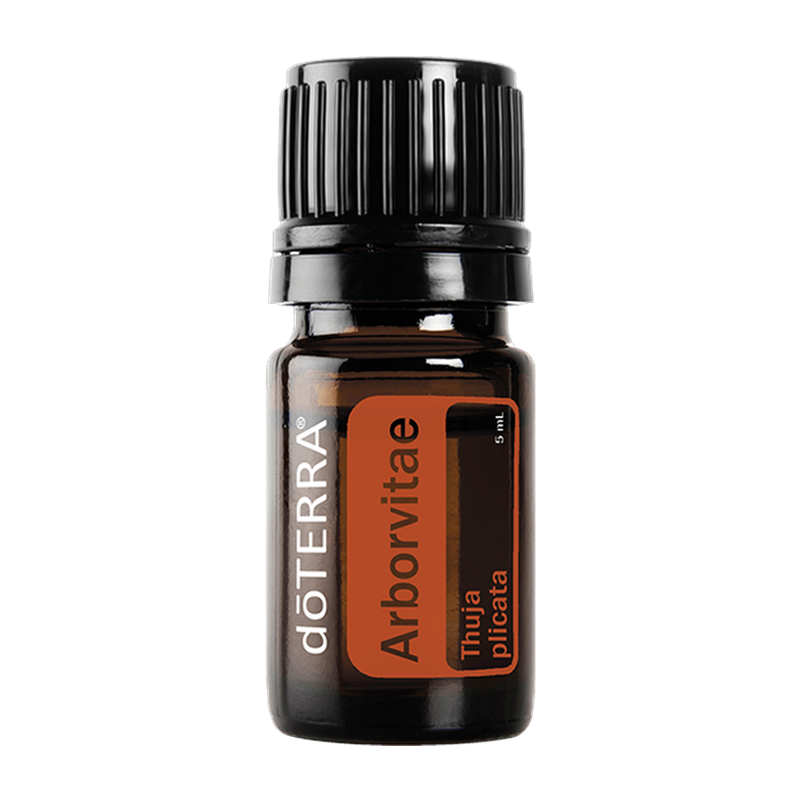 Arborvitae, 5 ml — Aromahain
