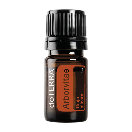 Arborvitae, 5 ml — Aromahain