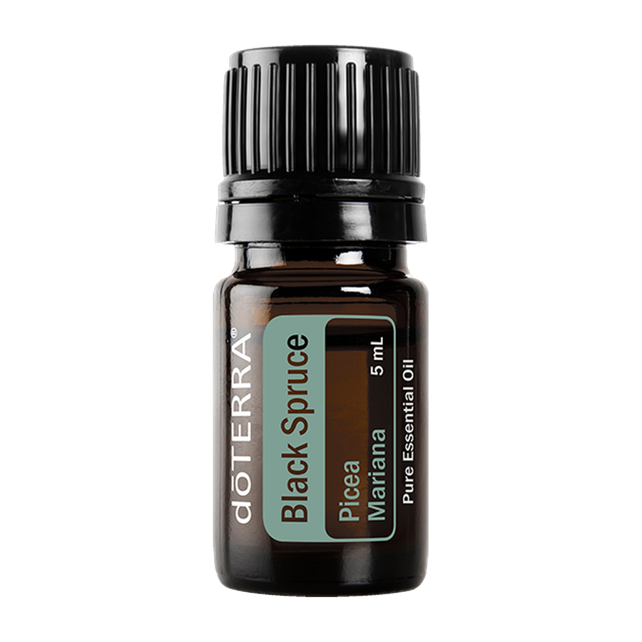 Black Spruce, 5 ml — Aromahain
