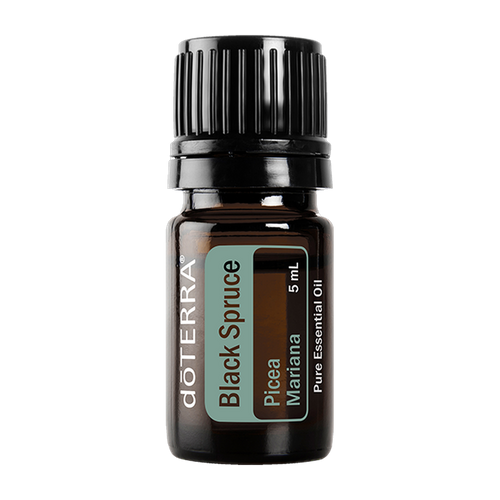 Black Spruce, 5 ml — Aromahain