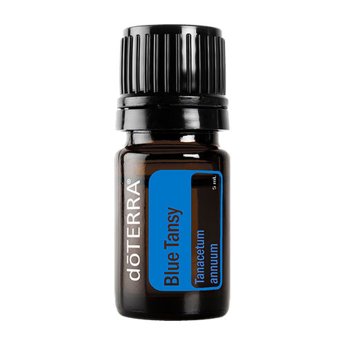 Blue Tansy, 5 ml — Aromahain