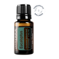 Eucalyptus, 15 ml — Aromahain