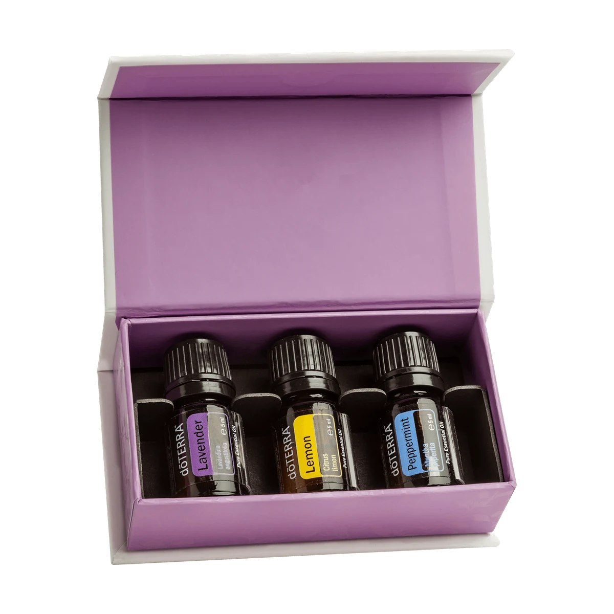 Einführungsset (Introductory Kit), 3 × 5 ml