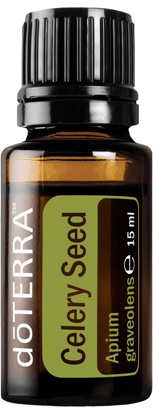 Celery Seed, 15 ml — Aromahain